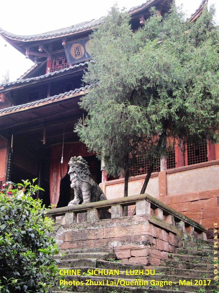 Luzhou 035.JPG